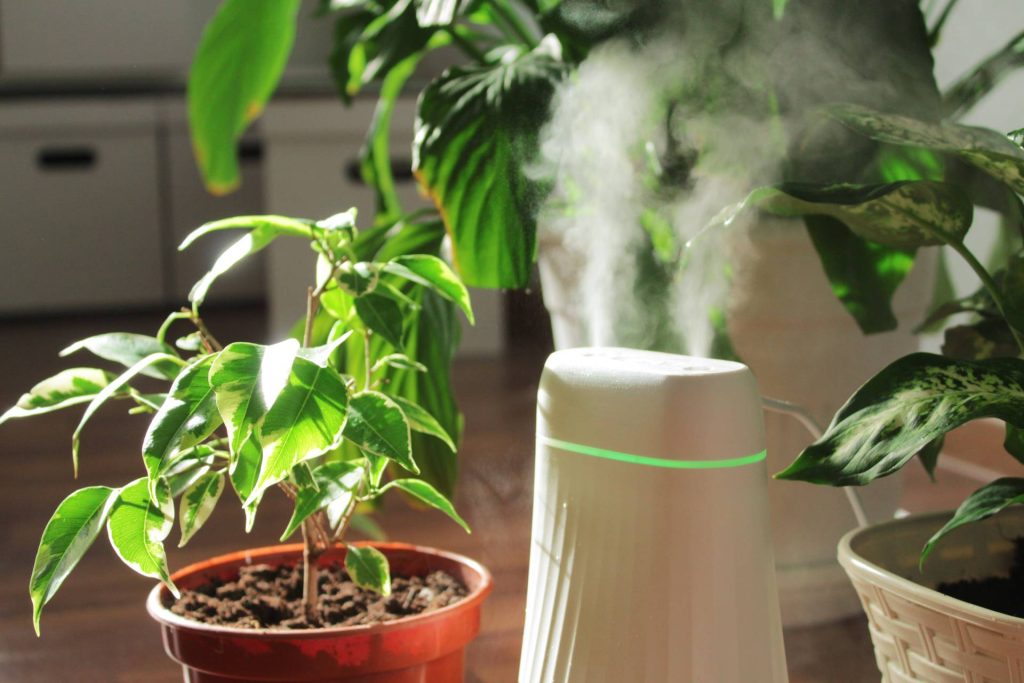 Consejos para proteger la casa del calor durante el verano