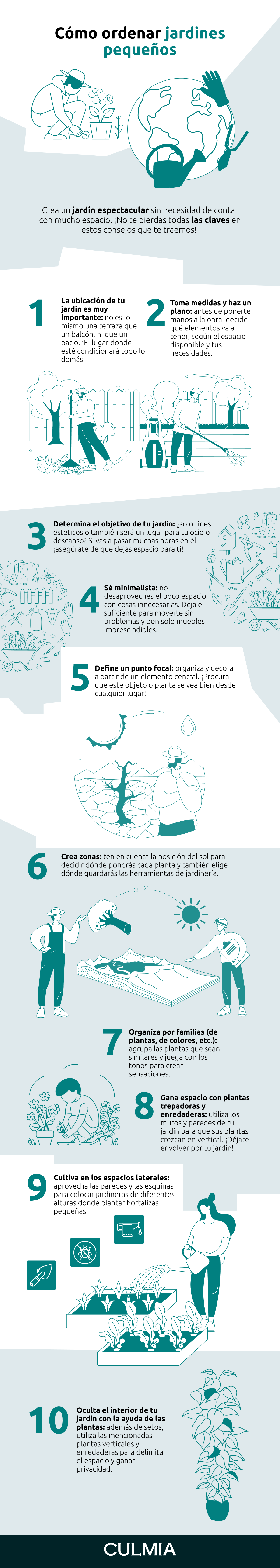 Infografía sobre cómo organizar jardines pequeños