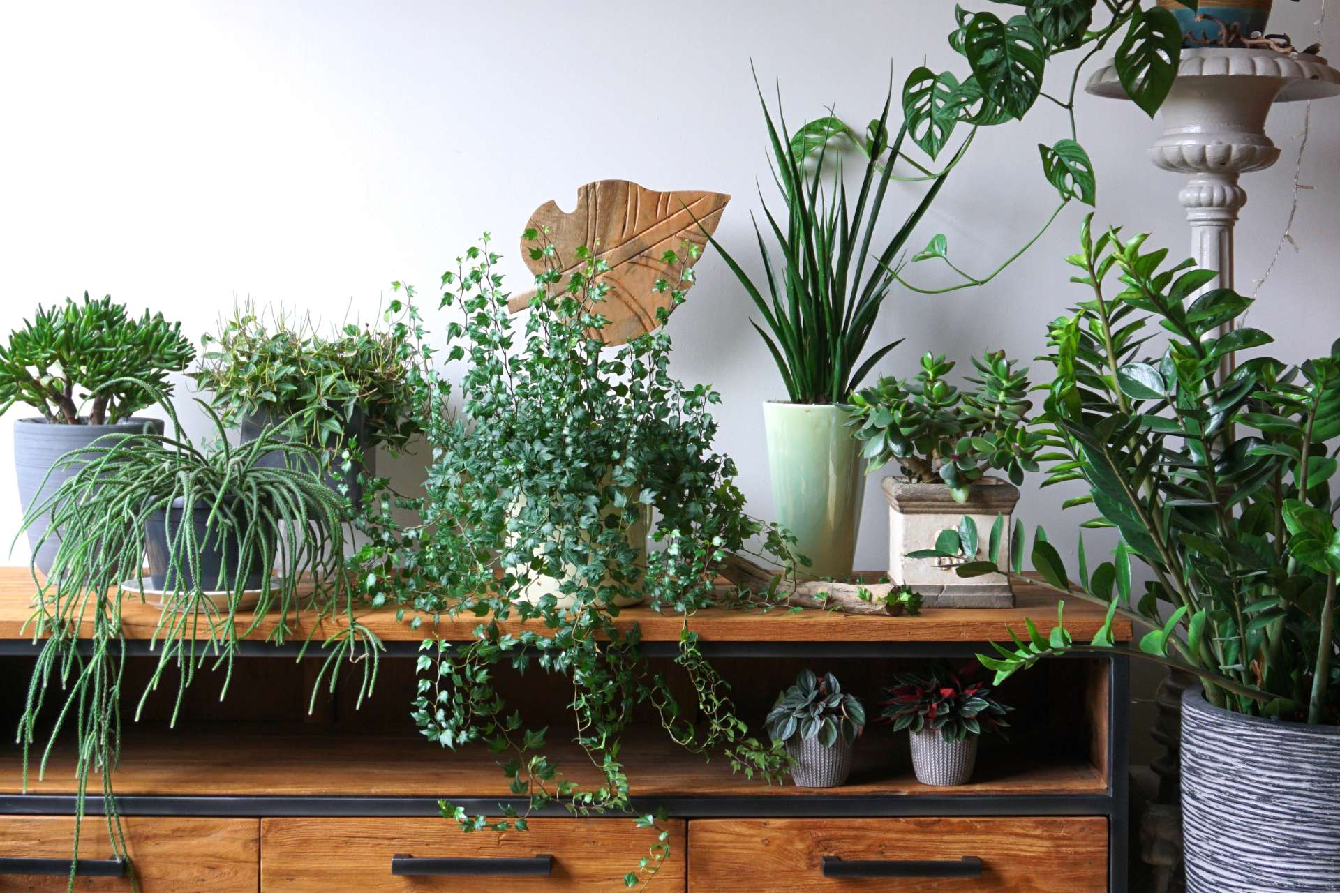 Consejos para integrar espacios verdes en casa