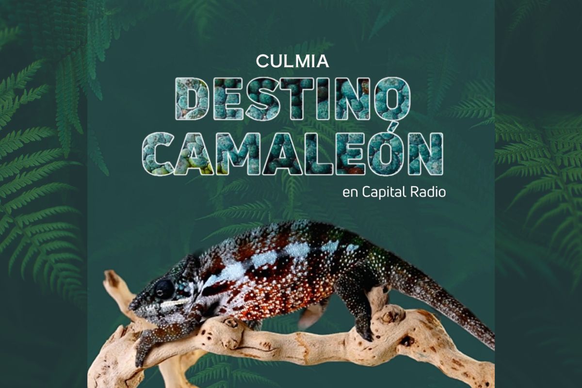 Culmia Destino Camaleón en capital radio