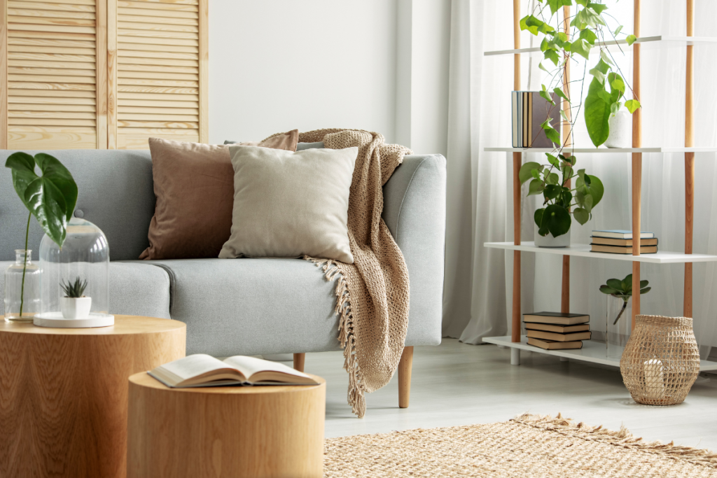 Plantas para decorar salón