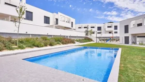 Culmia Alauda Canyadell