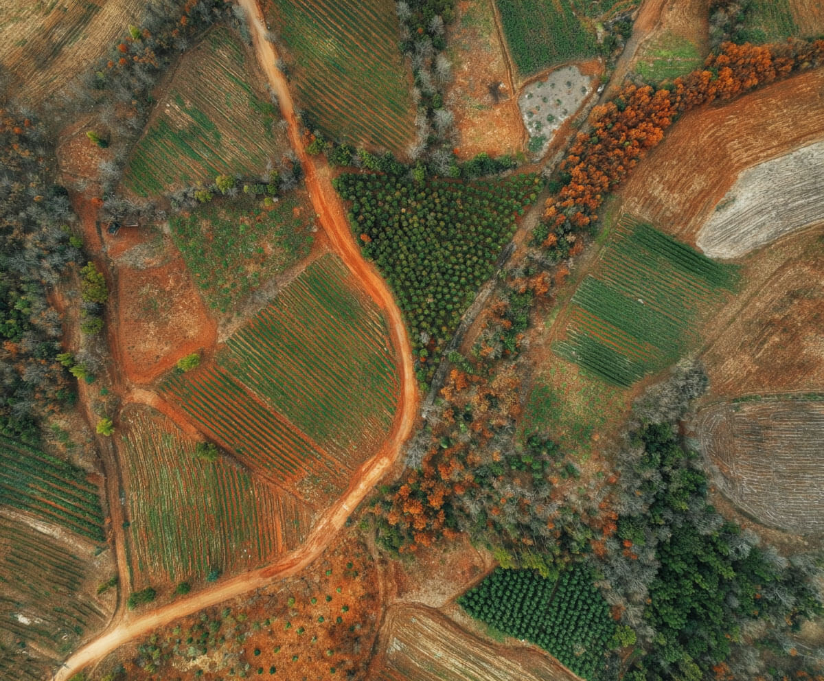 Plano de un terreno sin edificar